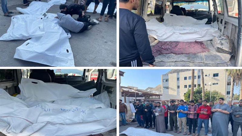 بوابة روز اليوسف