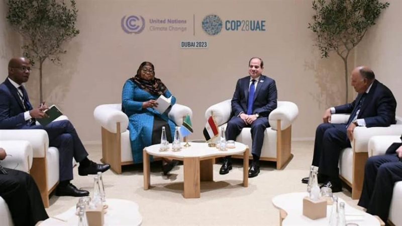 الرئيس السيسي يبحث