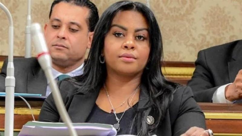 النائبة نفين حمدي