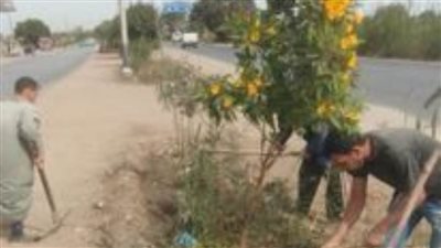 زراعة 312 شجرة مثمرة بالمنيا ضمن مبادرة 100 مليون شجرة