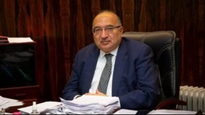 سفير مصر بالنرويج: مشاركة الجالية بانتخابات الرئاسة تعكس شعورًا بالانتماء والمسؤولية