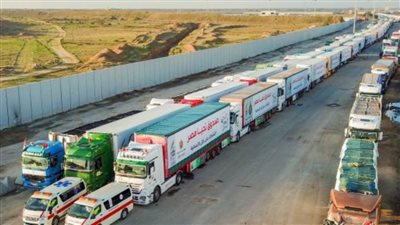 الأوقاف: سلع غذائية بـ30 مليون جنيه من حساب صكوك الإطعام لغزة