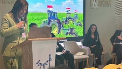 هالة السعيد تؤكد التزام مصر بالدفاع عن قضايا تمويل المناخ وتمكين المرأة