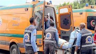 مصرع شقيقين في حادث تصادم بالدقهلية