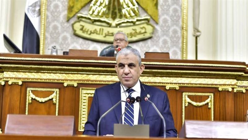 النائب عادل عبدالفضيل