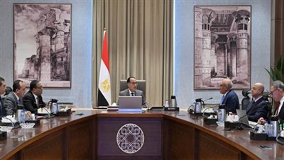  مدبولي يؤكد أهمية جهود الأذرع الصناعية لـ