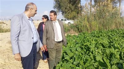 د. محمد يوسف يتفقد منافذ توزيع التقاوي والأسمدة بالإسكندرية