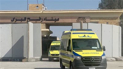 عاجل.. وصول 19 جريحا فلسطينيا من غزة عبر ميناء رفح البري