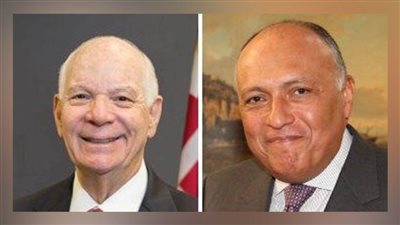  عاجل.. شكري يؤكد لرئيس 