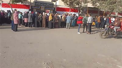    احتشاد المواطنين أمام لجان محافظة القاهرة للإدلاء بأصواتهم وممارسة حقهم الدستوري بالانتخابات الرئاسية