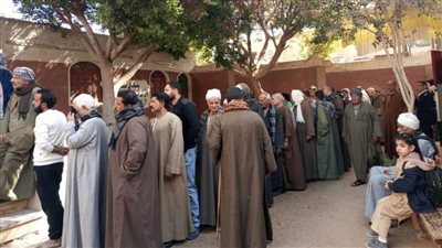 إقبال الناخبين على اللجان بمركز طما للتصويت في الانتخابات الرئاسية بسوهاج