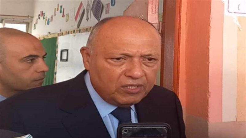 شكري عقب إدلائه بصوته