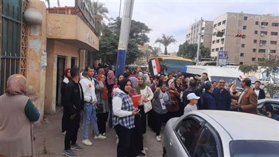 عمال المناطق الصناعية يدلون بأصواتهم أمام لجان الوافدين ببني سويف