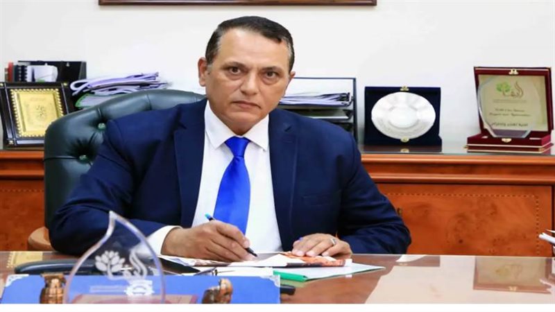 المهندس عمرو عبد