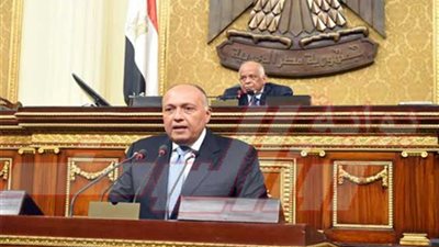 وزير الخارجية أمام 