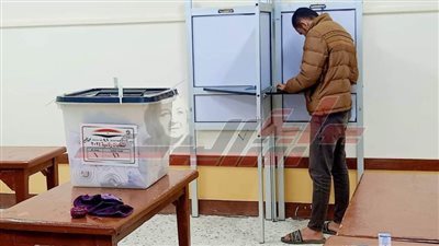 توافد مكثف للناخبين على اللجان الانتخابية بالدقهلية خلال الفترة المسائية