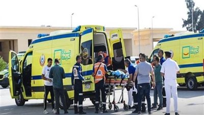 استقبال جرحى ومصابين فلسطينيين وإدخال مساعدات إغاثية لغزة عبر ميناء رفح البري