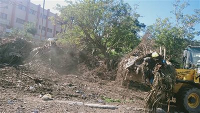 رفع ٦٠ طنا من الأتربة والردم من شوارع الأمان بالإسكندرية