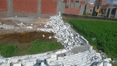 إزالة 11 حالة تعدٍ على الأراضي الزراعية وأملاك الدولة بالبحيرة