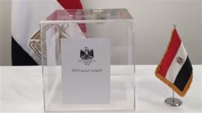 رئيس بعثة دولية:انتخابات الرئاسة المصرية ستكتب في التاريخ