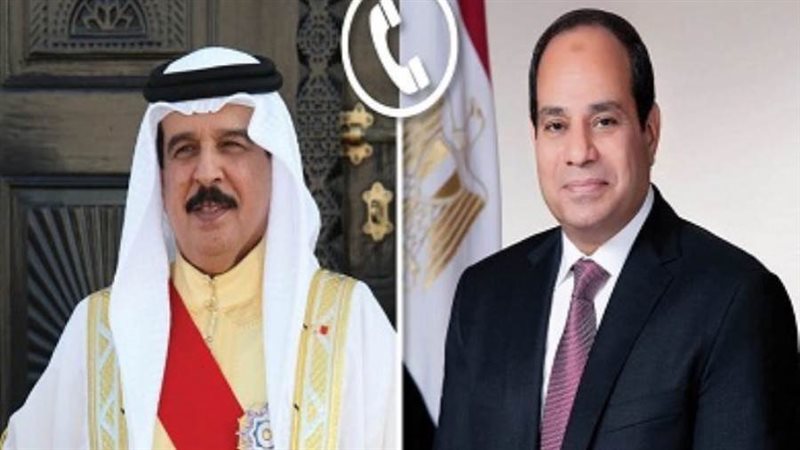 الرئيس السيسي و الملك