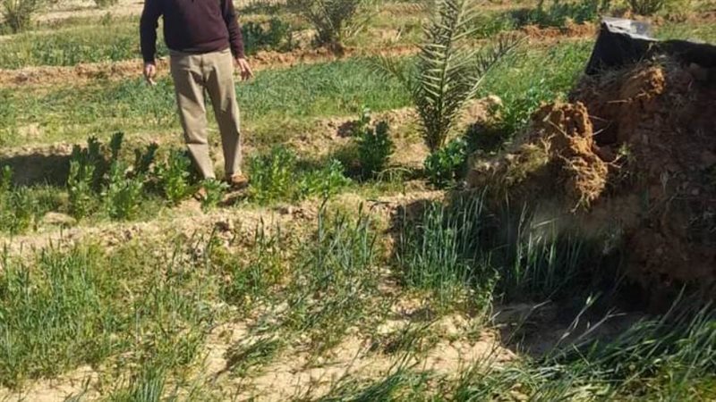 ازالة فدان زراعي