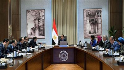 رئيس الوزراء يستعرض مقترحات زيادة التبادل التجاري مع الدول الإفريقية