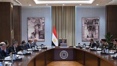 رئيس الوزراء يتابع الموقف التنفيذي لمشروع حماية شواطئ الإسكندرية وتوسعة الكورنيش