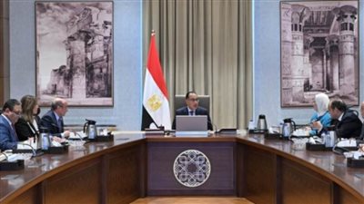 مدبولي يُكلف بإعداد رؤية متكاملة وخطة تنفيذية واضحة لملف 