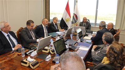 تحويل أرض مصنع الحديد والصلب حلوان لمشروع عمراني متكامل