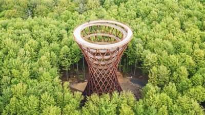    برج الغابة: منصة مراقبة توفر إطلالات بانورامية على الطبيعة الدنماركية