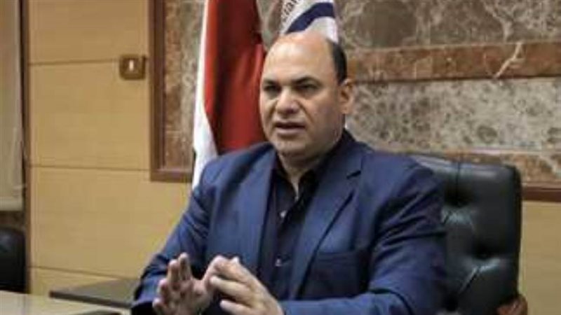 الدكتور محمد على