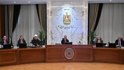 مجلس الوزراء يوافق على تعاقد دمياط مع قطاع الكهرباء لتوصيل التيار الكهربائي لـ 4 دوائر برأس البر