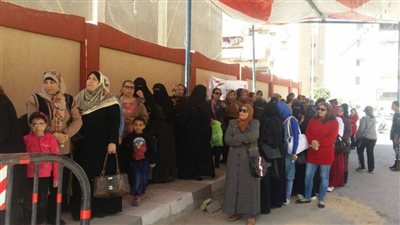 أساتذة الإعلام يكشفون أسباب ارتفاع نسبة المشاركة في الانتخابات الرئاسية 2024