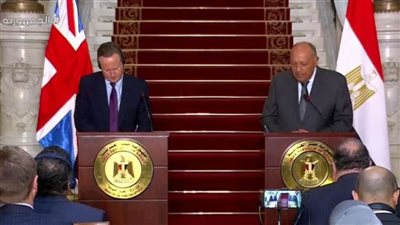 شكري ونظيره البريطاني يؤكدان أهمية إدخال المساعدات الإنسانية إلى قطاع غزة