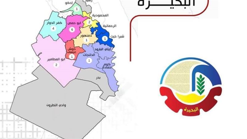 نائب محافظ البحيرة