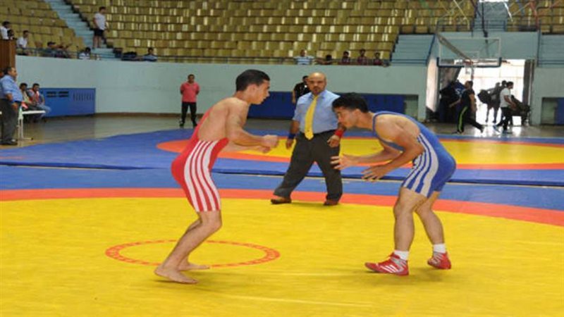 بوابة روز اليوسف