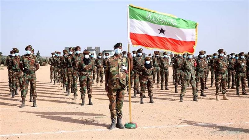 الجيش الوطني الصومالي