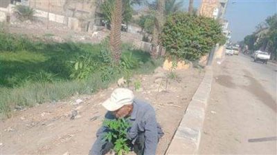 ضمن مبادرة 100 مليون شجرة.. زراعة 133 شجرة مثمرة في مطاي بالمنيا