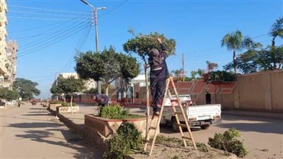 رفع الإشغالات وتطهير شبكات الصرف الصحي بكفر الشيخ 