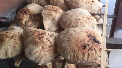 ضبط ١٢٥٠ كيلو من الدقيق المدعم قبل التصرف فيه وتحرير ١٦٨ محضرًا بحملات تموينية بالإسماعيلية