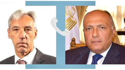 شكري: الوضع الإنساني الكارثي في غزة يحتم على الأطراف الدولية تسمية الانتهاكات الإسرائيلية بمسمياتها الصحيحة