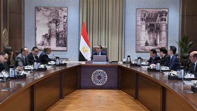 مدبولي: مصر تولي أهمية لتوطين صناعات مكونات مشروعات الطاقة المتجددة