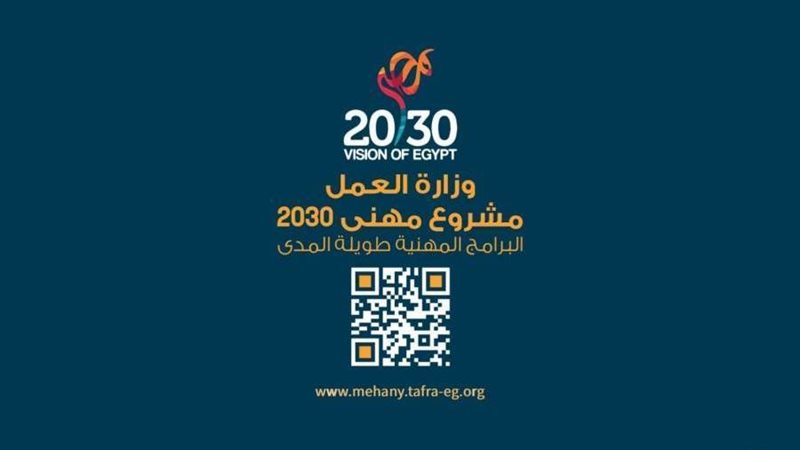 مشروع مهني 2030