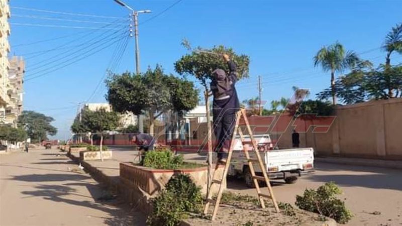 تقليم وتهذيب الأشجار