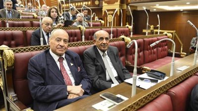 النائب مصطفى الشريف: وزير التعليم العالي وعد بفرش مستشفى الأطفال الجامعي بسوهاج