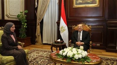 رئيس الشيوخ يؤكد لسفيرة البحرين الحرص على دفع العلاقات بين البلدين لآفاق أرح