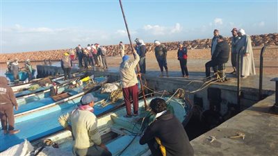 ميناء التراكي بالبحيرة على مساحة 80 ألف متر بتكلفة 34.5 مليون جنيه