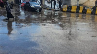نشاط كبير في حركة الملاحة بالهيئة العامة لميناء الإسكندرية خلال 48 ساعة