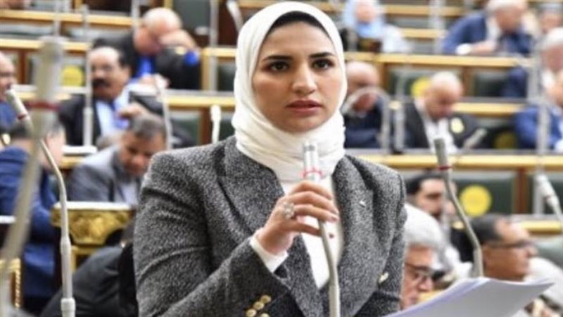 النائبة نشوى رائف